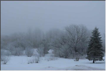 Fog and frost