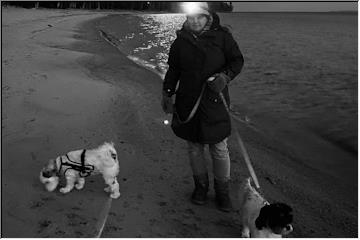 Moonlit beach walk