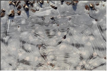 Iced over puddles