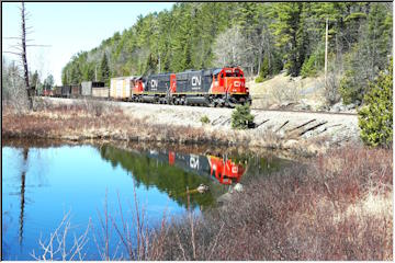 Trains, turtles and rails