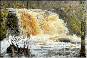 Root Beer Falls