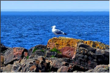 Lake Superior Adventure