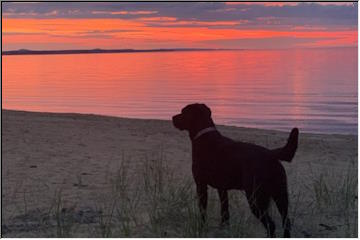 Willow and the sunrise