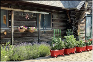 Log Cabin Living