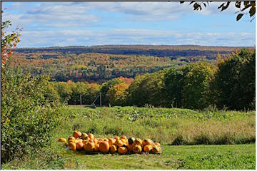 Pumpkin time