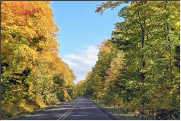 The Covered Road