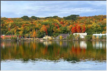 Fall Reflections