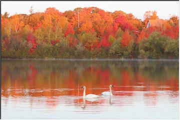 Frosty Autumn Morning