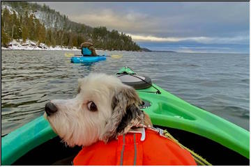 December Kayaking