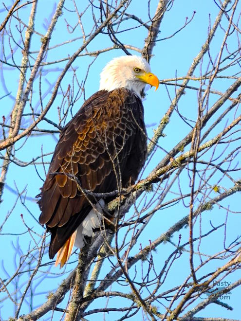 Photo by Nancy Haun