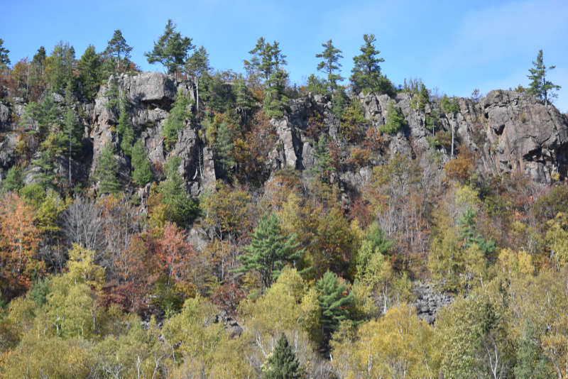 More lone trees