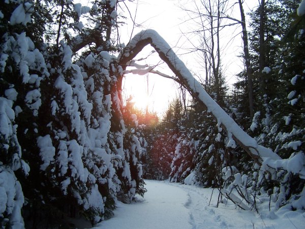 snowshoeing in da UP