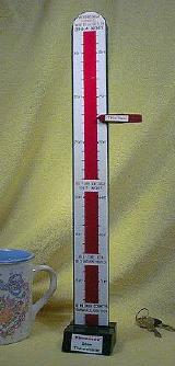 Snow Thermometer